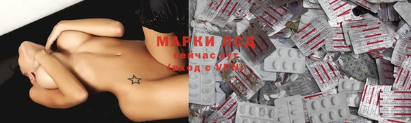 крисы Медвежьегорск