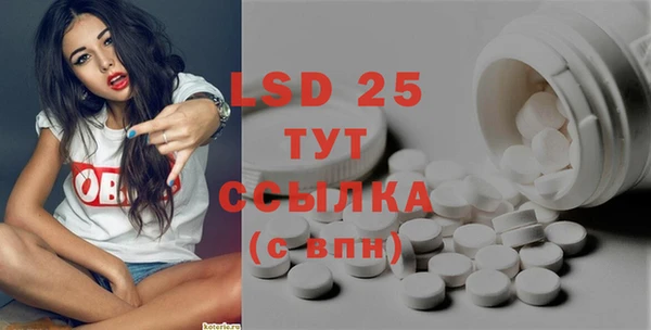 крисы Медвежьегорск