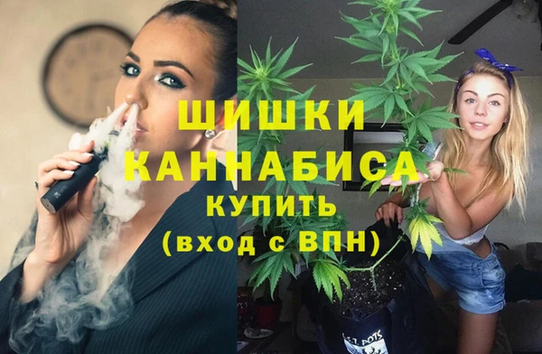 крисы Медвежьегорск