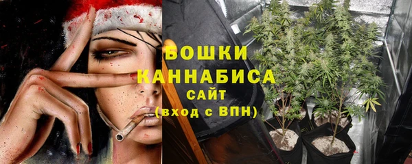 крисы Медвежьегорск
