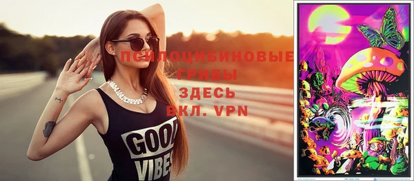 дмт Медногорск