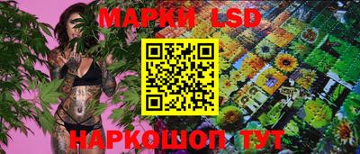 СК Донецк