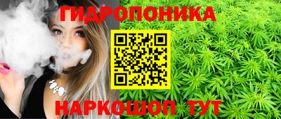 мет Дубна