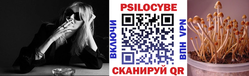Псилоцибиновые грибы Psilocybine cubensis  Кашира 