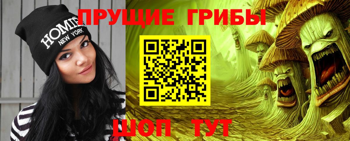 Кашира  Галлюциногенные грибы GOLDEN TEACHER  Вход с VPN  Псилоцибиновые грибы MAGIC MUSHROOMS 