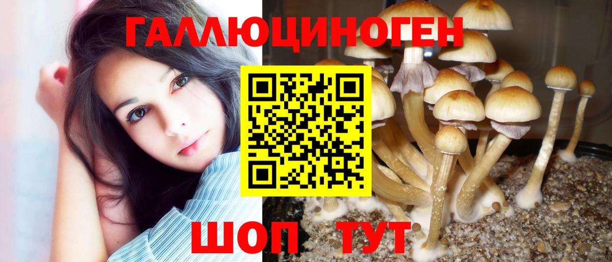 КЕТАМИН  МАРИХУАНА  Меф кристаллы  КОКАИН  APVP СОЛЬ кристаллы  Вход с VPN  МАРИХУАНА  Кашира  ЭКСТАЗИ  ГАШИШ 