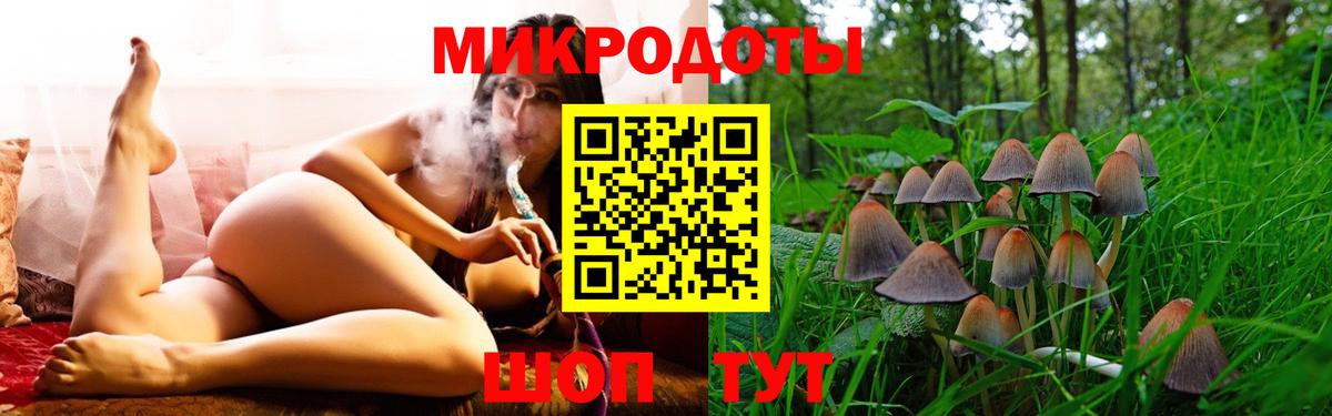 Псилоцибиновые грибы Psilocybe  Галлюциногенные грибы Magic Shrooms  Кашира 