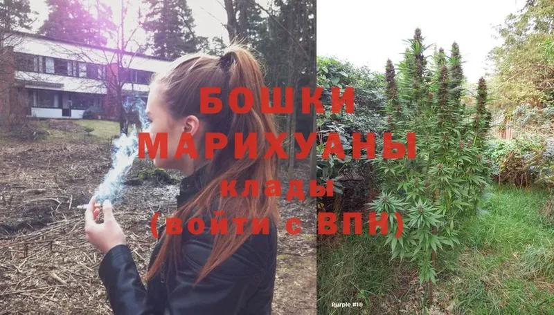 Бошки марихуана OG Kush  купить наркотик  Кашира 