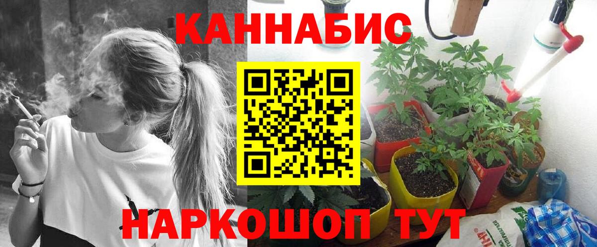Каннабис сатива  Канабис OG Kush  Кашира  Бошки Шишки LSD WEED 