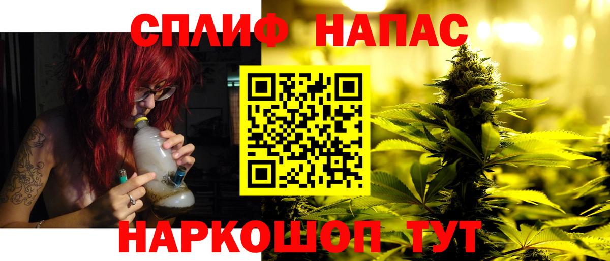Конопля план  Вход с VPN  Конопля OG Kush  Марихуана ГИДРОПОН  Кашира  Конопля семена 